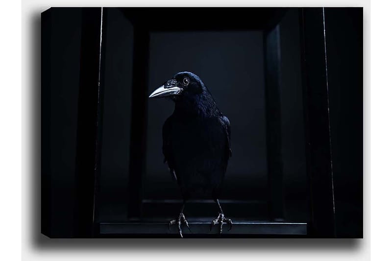 Dekorativ Canvastavla 50x70 cm - Flerfärgad - Inredning & dekor - Tavlor & konst - Canvastavla