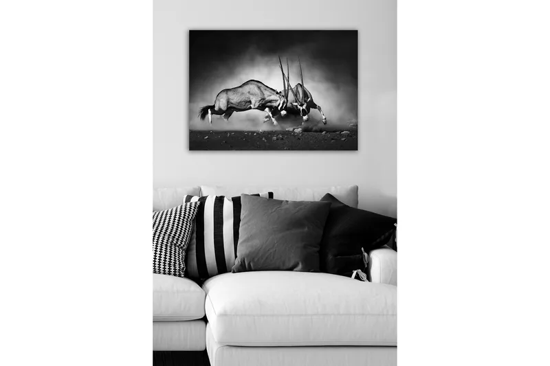 Dekorativ Canvastavla 50x70 cm - Flerfärgad - Inredning & dekor - Tavlor & konst - Canvastavla