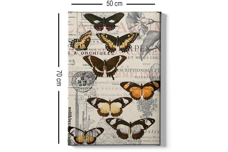 Dekorativ Canvastavla 50x70 cm - Flerfärgad - Inredning & dekor - Tavlor & konst - Canvastavla