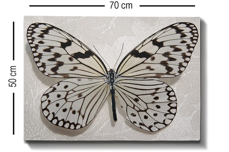 Dekorativ Canvastavla 50x70 cm - Flerfärgad - Inredning & dekor - Tavlor & konst - Canvastavla