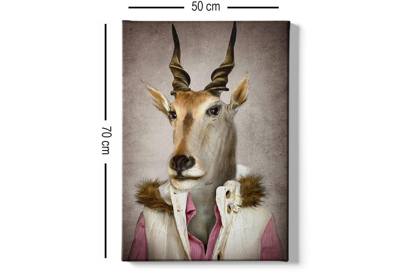 Dekorativ Canvastavla 50x70 cm - Flerfärgad - Inredning & dekor - Tavlor & konst - Canvastavla