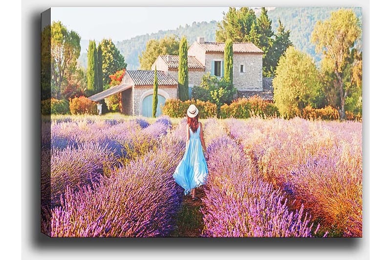 Dekorativ Canvastavla 50x70 cm, Flerfärgad