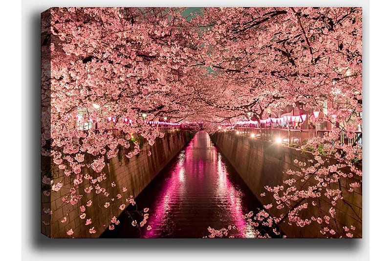 Dekorativ Canvastavla 50x70 cm - Flerfärgad - Inredning & dekor - Tavlor & konst - Canvastavla