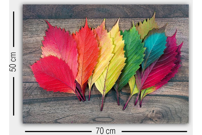 Dekorativ Canvastavla 50x70 cm - Flerfärgad - Inredning & dekor - Tavlor & konst - Canvastavla