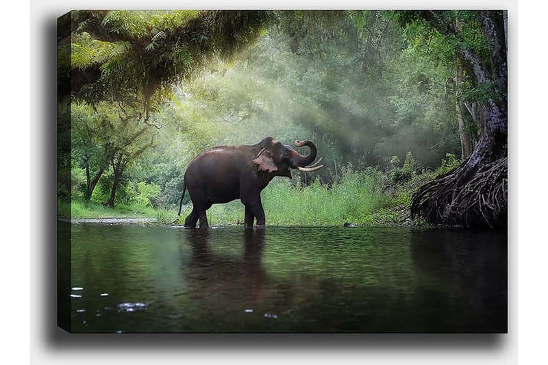 Dekorativ Canvastavla 50x70 cm - Flerfärgad - Inredning & dekor - Tavlor & konst - Canvastavla