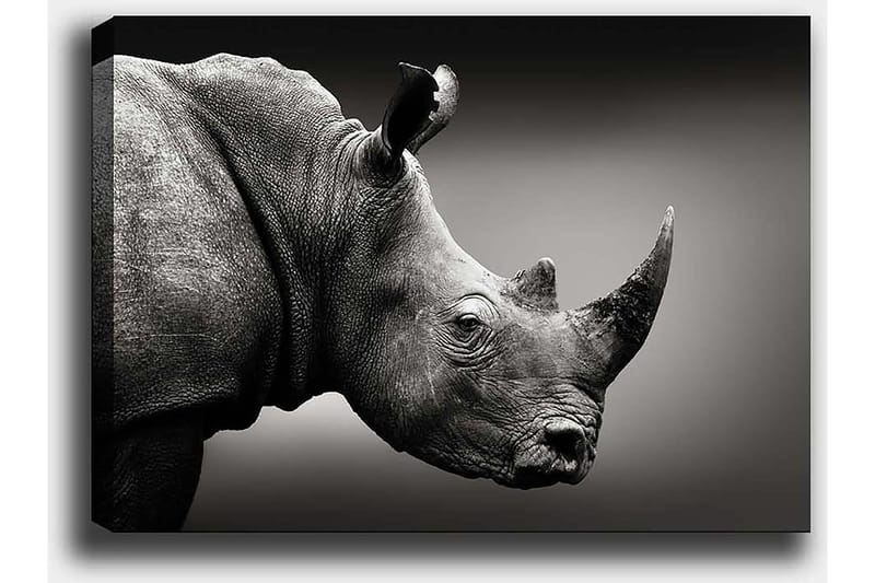 Dekorativ Canvastavla 50x70 cm - Flerfärgad - Inredning & dekor - Tavlor & konst - Canvastavla