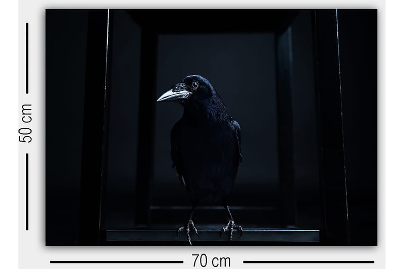 Dekorativ Canvastavla 50x70 cm - Flerfärgad - Inredning & dekor - Tavlor & konst - Canvastavla