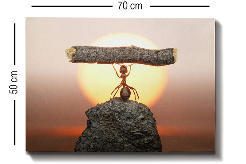 Dekorativ Canvastavla 50x70 cm - Flerfärgad - Inredning & dekor - Tavlor & konst - Canvastavla