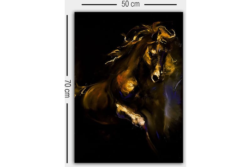 Dekorativ Canvastavla 50x70 cm - Flerfärgad - Inredning & dekor - Tavlor & konst - Canvastavla