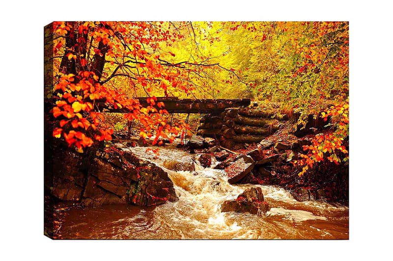 DEKORATIV CANVASTAVLA 70x100 cm Flerfärgad - Inredning & dekor - Tavlor & konst - Canvastavla