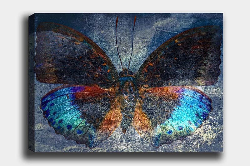 DEKORATIV CANVASTAVLA 70x100 cm Flerfärgad - Inredning & dekor - Tavlor & konst - Canvastavla