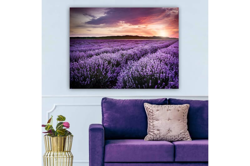 DEKORATIV CANVASTAVLA 70x100 cm Flerfärgad - Inredning & dekor - Tavlor & konst - Canvastavla