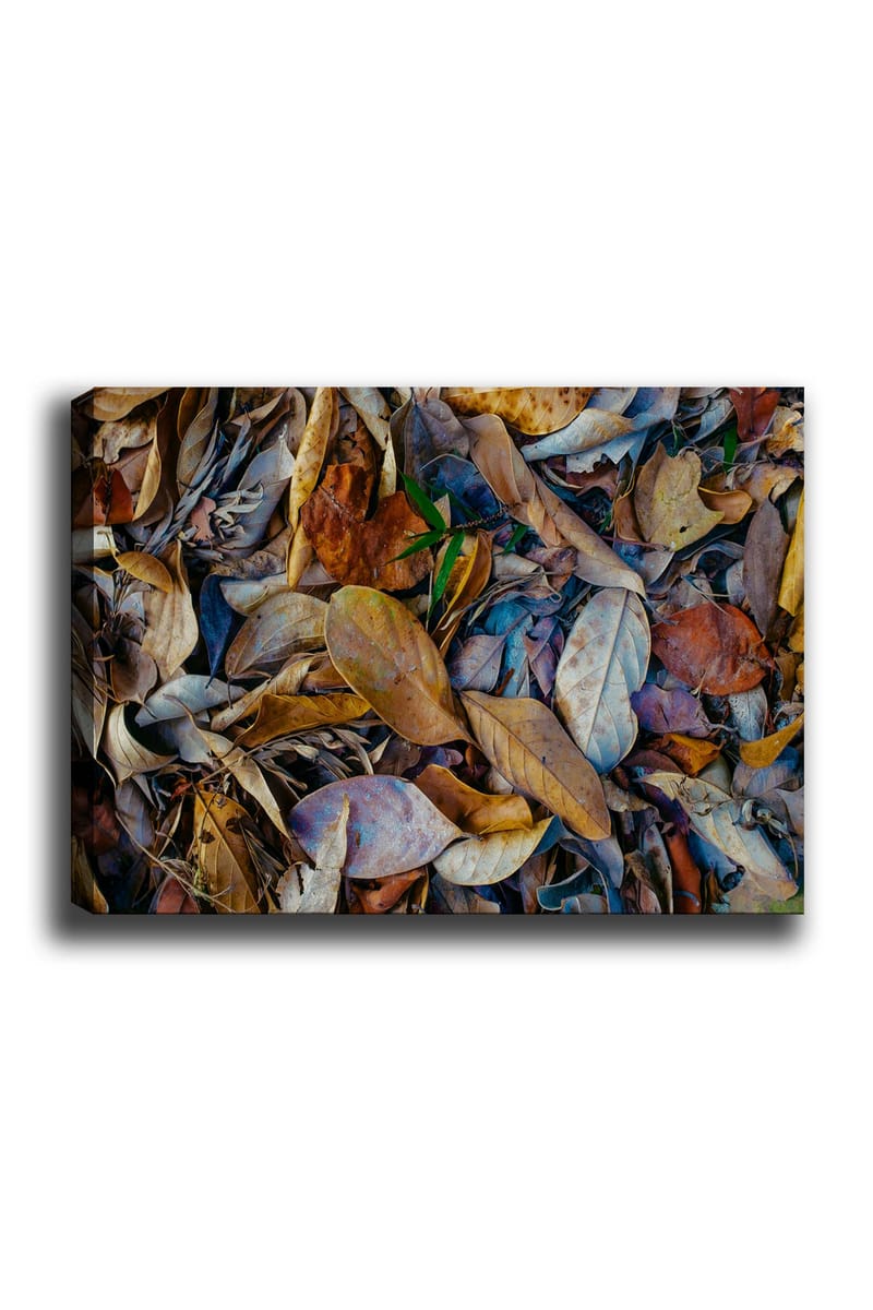 DEKORATIV CANVASTAVLA 70x100 cm Flerfärgad - Inredning & dekor - Tavlor & konst - Canvastavla