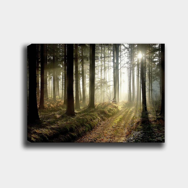 DEKORATIV CANVASTAVLA 70x100 cm Flerfärgad - Inredning & dekor - Tavlor & konst - Canvastavla