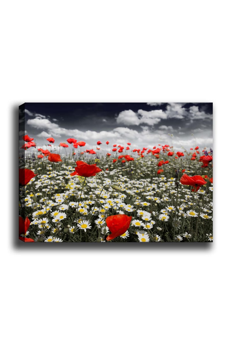 DEKORATIV CANVASTAVLA 70x100 cm Flerfärgad - Inredning & dekor - Tavlor & konst - Canvastavla