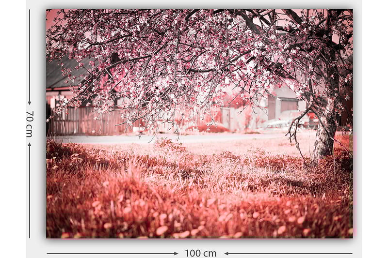 DEKORATIV CANVASTAVLA 70x100 cm Flerfärgad - Inredning & dekor - Tavlor & konst - Canvastavla
