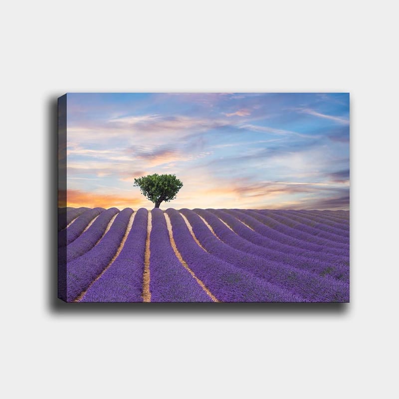 DEKORATIV CANVASTAVLA 70x100 cm Flerfärgad - Inredning & dekor - Tavlor & konst - Canvastavla