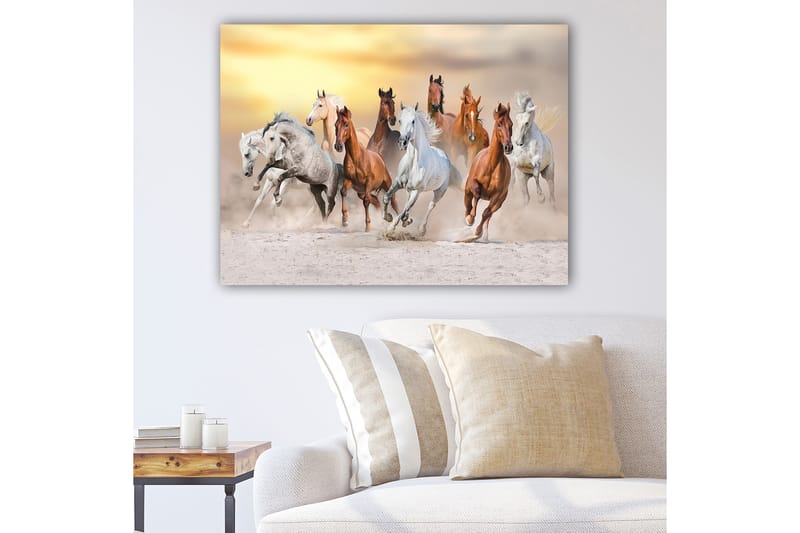 DEKORATIV CANVASTAVLA 70x100 cm Flerfärgad - Inredning & dekor - Tavlor & konst - Canvastavla