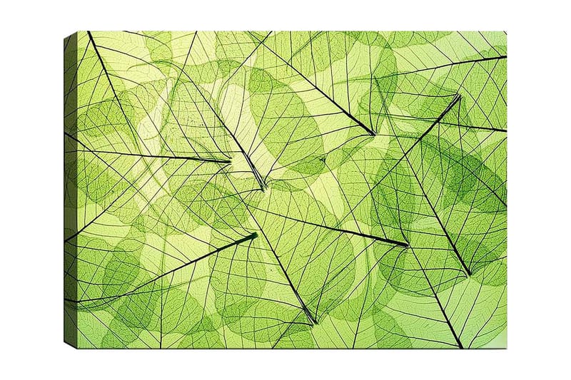 DEKORATIV CANVASTAVLA 70x100 cm Flerfärgad - Inredning & dekor - Tavlor & konst - Canvastavla