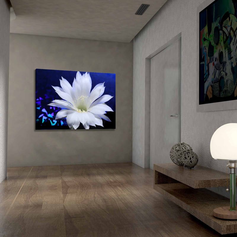 DEKORATIV CANVASTAVLA 70x100 cm Flerfärgad - Inredning & dekor - Tavlor & konst - Canvastavla