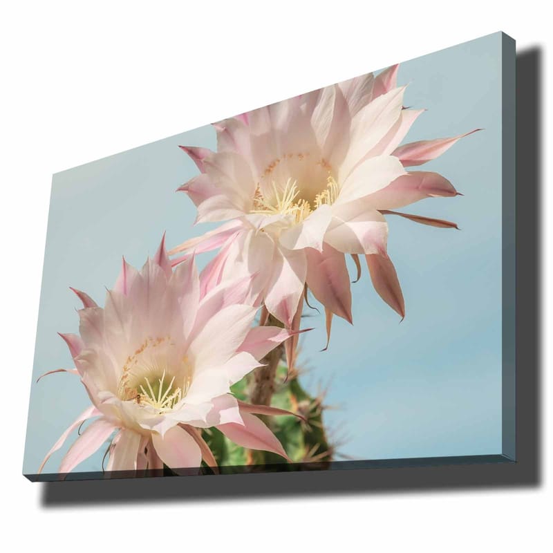 DEKORATIV CANVASTAVLA 70x100 cm Flerfärgad - Inredning & dekor - Tavlor & konst - Canvastavla