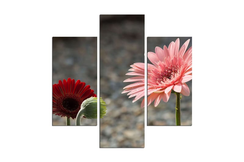 Dekorativ MDF-målning 3 Delar - Flerfärgad - Inredning & dekor - Tavlor & konst - Canvastavla