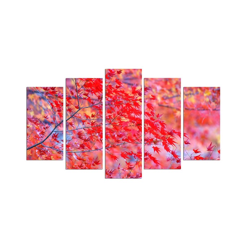 DEKORATIV MDF-MÅLNING 5-Delar 20x60 cm Flerfärgad - Inredning & dekor - Tavlor & konst - Canvastavla