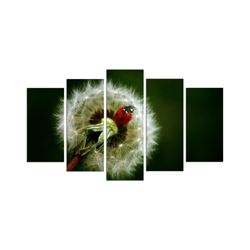 Dekorativ MDF-målning 5-Delar 20x60 cm, Flerfärgad