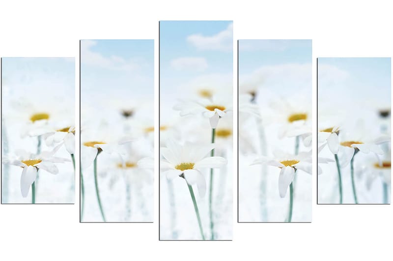 Dekorativ MDF-målning 5-Delar 20x60 cm - Flerfärgad - Inredning & dekor - Tavlor & konst - Canvastavla