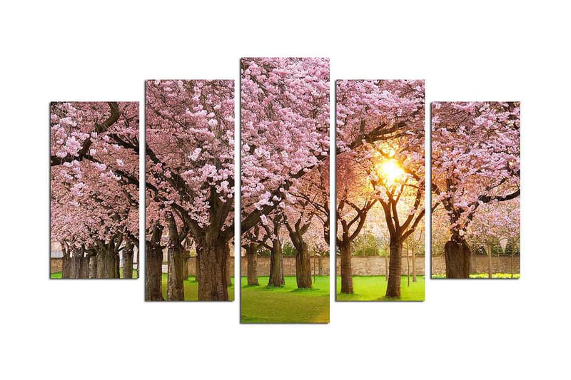 Dekorativ MDF-målning 5-Delar 20x60 cm, Flerfärgad