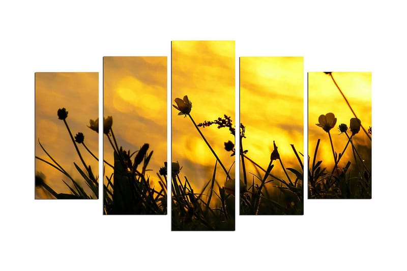 Dekorativ MDF-målning 5 Delar - Flerfärgad - Inredning & dekor - Tavlor & konst - Canvastavla