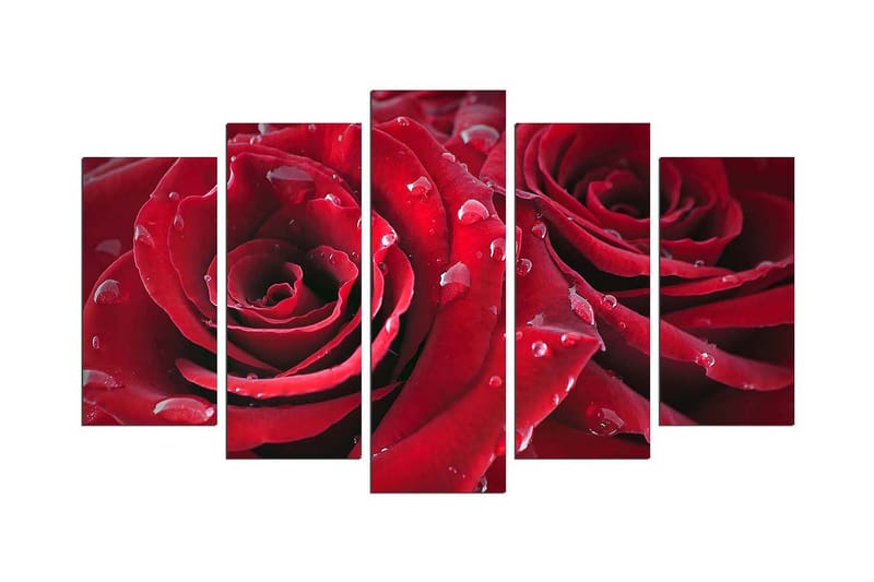 Dekorativ MDF-målning 5 Delar, Flerfärgad