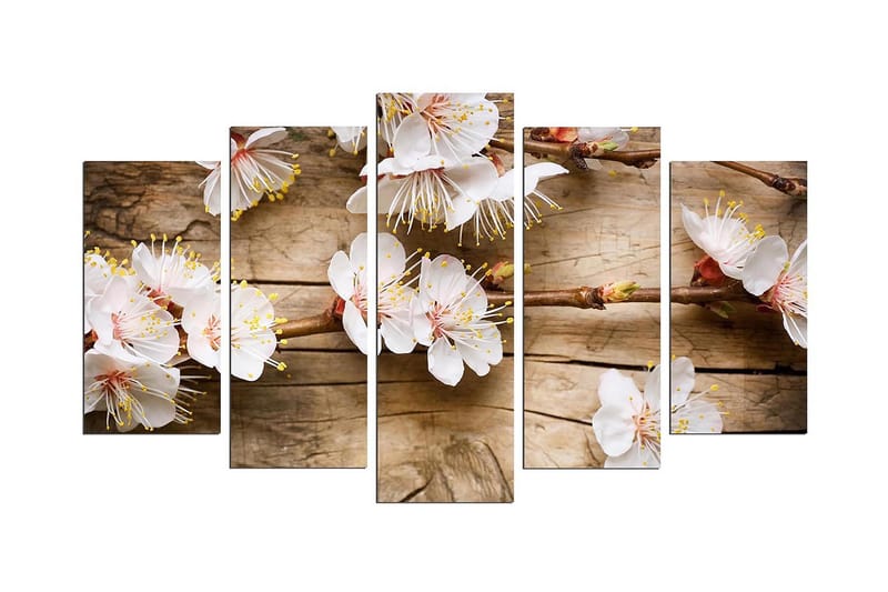 Dekorativ MDF-målning 5 Delar, Flerfärgad