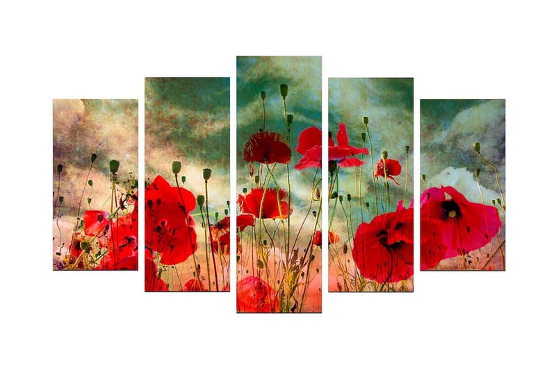 Dekorativ MDF-målning 5 Delar, Flerfärgad