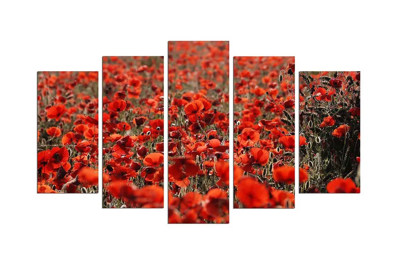 Dekorativ MDF-målning 5 Delar - Flerfärgad - Inredning & dekor - Tavlor & konst - Canvastavla