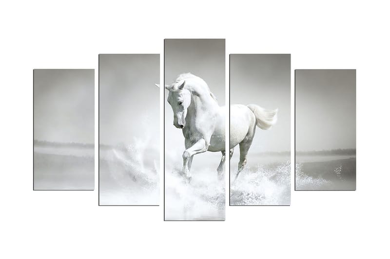 Dekorativ MDF-målning 5 Delar, Flerfärgad