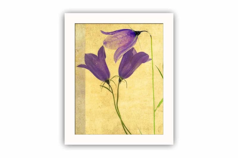 Dekorativ MDF-målning - Flerfärgad - Inredning & dekor - Tavlor & konst - Canvastavla