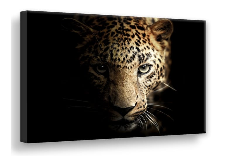 Leopard Digitalprintad Tavla Canvas 75X100Cm Svart - Svart - Canvastavla