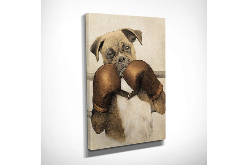 Liten Canvastavla 30x40 cm - Boxande hund med handskar - Brun / Beige / Vit - Inredning & dekor - Tavlor & konst - Canvastavla