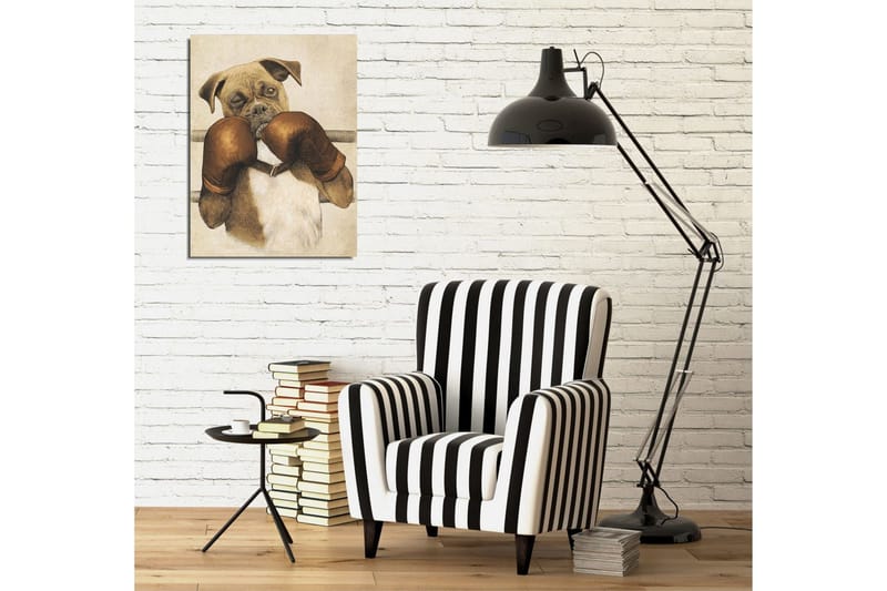 Liten Canvastavla 30x40 cm - Boxande hund med handskar - Brun / Beige / Vit - Inredning & dekor - Tavlor & konst - Canvastavla