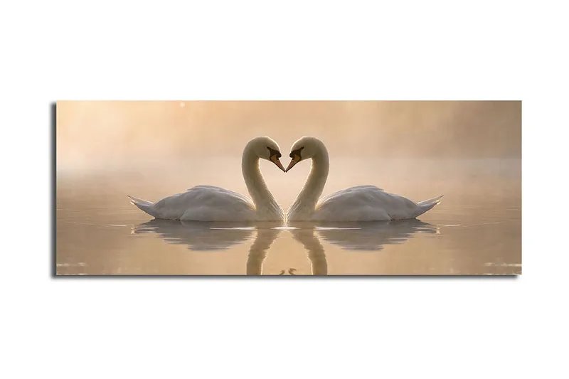 Stor Canvastavla 90x30 cm - Två svanar som formar ett hjärta med sina halsar, Vit / Beige