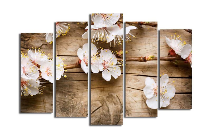 Stor Canvastavla i 5 delar 105x70 cm - Blommande kvistar med vita blommor - Vit / Gul / Brun - Inredning & dekor - Tavlor & konst - Canvastavla