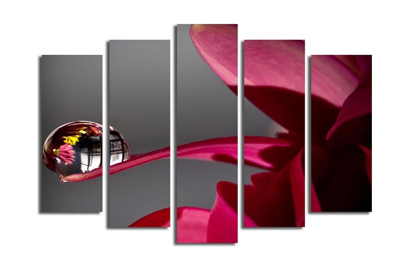Stor Canvastavla i 5 delar 105x70 cm - Droppar på en blomma med reflektioner av omgivningen - Mörkröd / Rosa / Klar (transparent) - Inredning & dekor - Tavlor & konst - Canvastavla