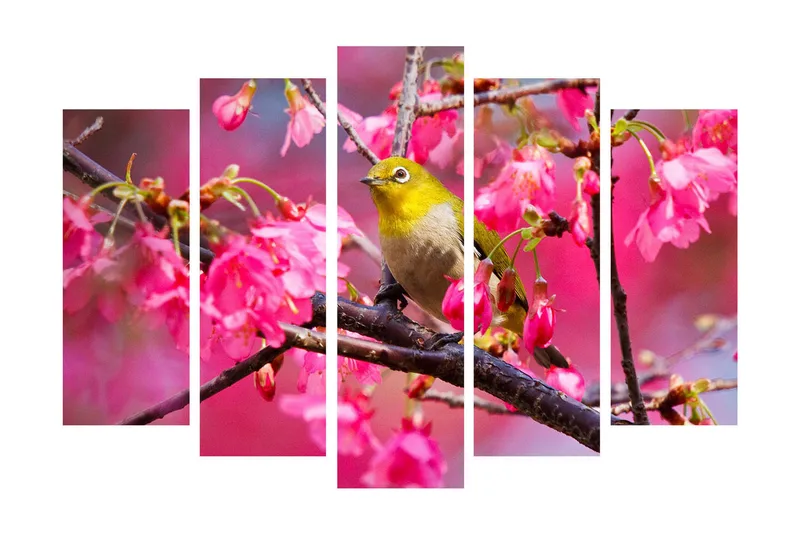 Stor Canvastavla i 5 delar 105x70 cm - Fågel på en gren omgiven av rosa blommor - Rosa / Grön / Brun - Inredning & dekor - Tavlor & konst - Canvastavla