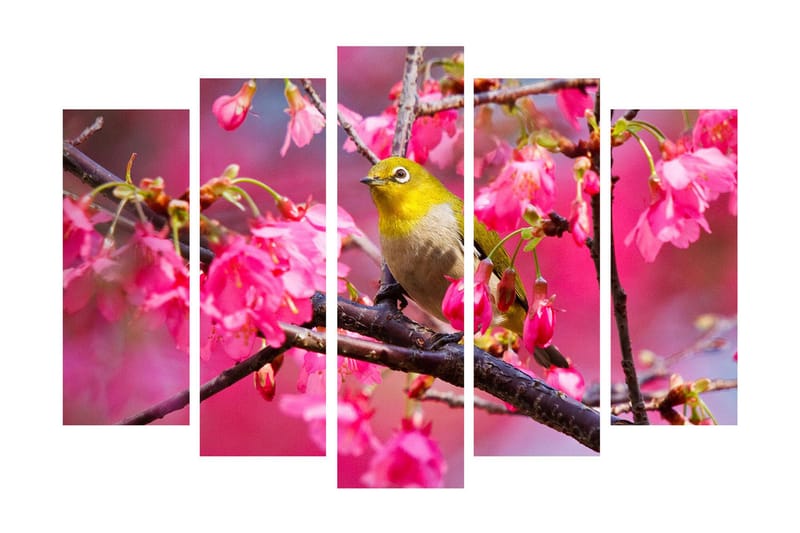 Stor Canvastavla i 5 delar 105x70 cm - Fågel på en gren omgiven av rosa blommor - Rosa / Grön / Brun - Inredning & dekor - Tavlor & konst - Canvastavla