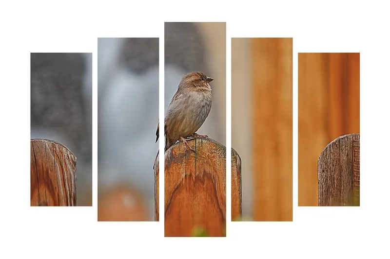 Stor Canvastavla i 5 delar 105x70 cm - Fågel på en träpost - Grå / Brun / Orange - Inredning & dekor - Tavlor & konst - Canvastavla