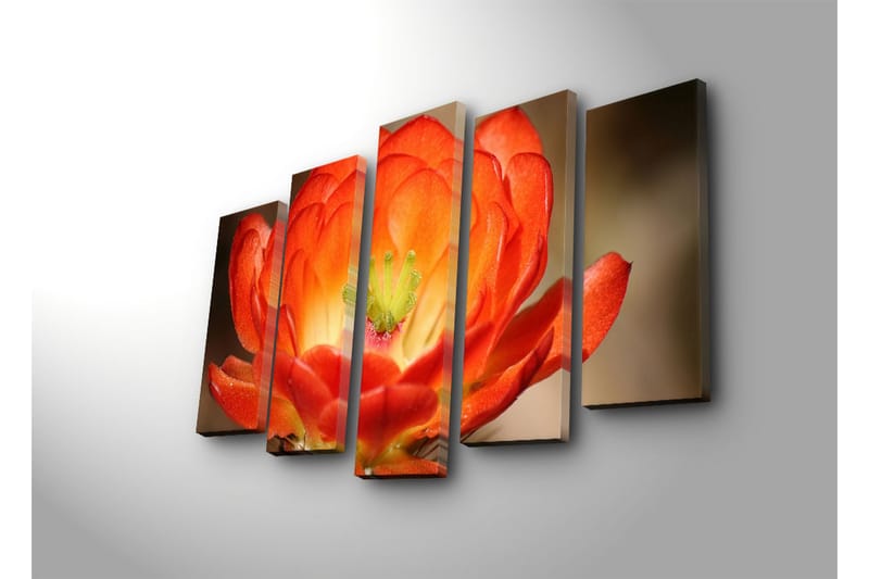 Stor Canvastavla i 5 delar 105x70 cm - Färgglad blomma med djup orangea och röda nyanser - Orange / Grön - Inredning & dekor - Tavlor & konst - Canvastavla