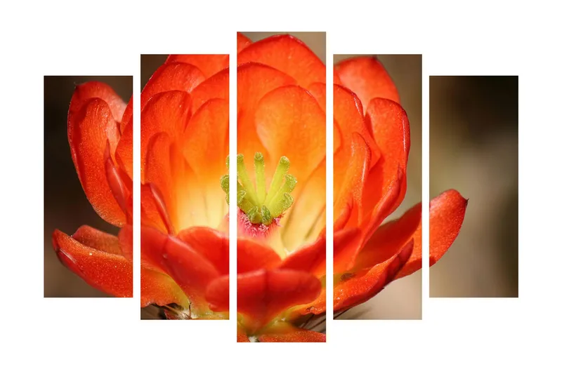 Stor Canvastavla i 5 delar 105x70 cm - Färgglad blomma med djup orangea och röda nyanser - Orange / Grön - Inredning & dekor - Tavlor & konst - Canvastavla