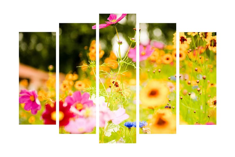Stor Canvastavla i 5 delar 105x70 cm - Färgrik blomsteräng med olika blommor - Rosa / Orange / Gult - Inredning & dekor - Tavlor & konst - Canvastavla