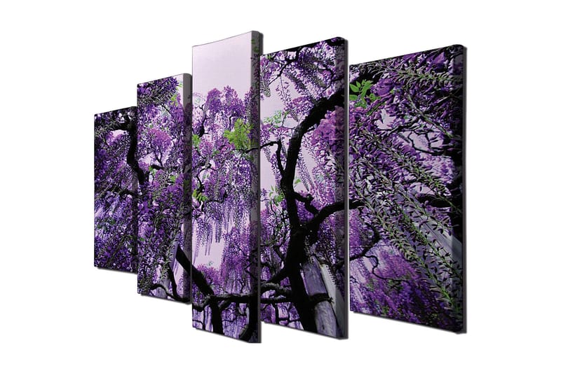 Stor Canvastavla i 5 delar 105x70 cm - Lila blomsterhäng av wisteria - Lila / Grön / Svart - Inredning & dekor - Tavlor & konst - Canvastavla